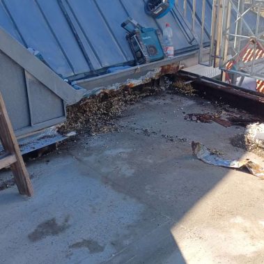 Balkonsanierung Kurhaus Juist